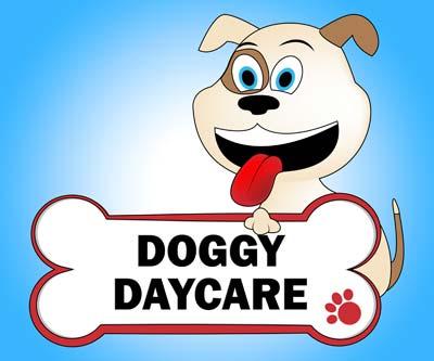 Dog Day care Portland